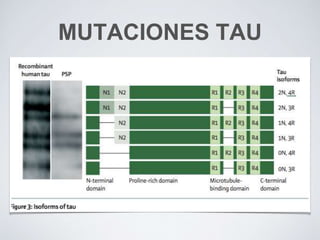 MUTACIONES TAU
 