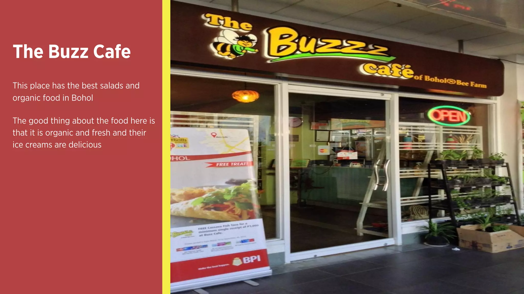 The Buzz Cafe
This place has the best salads
and organic food in Bohol
The good thing about the food
here is that it is organic and
fresh and their ice creams are
delicious
 