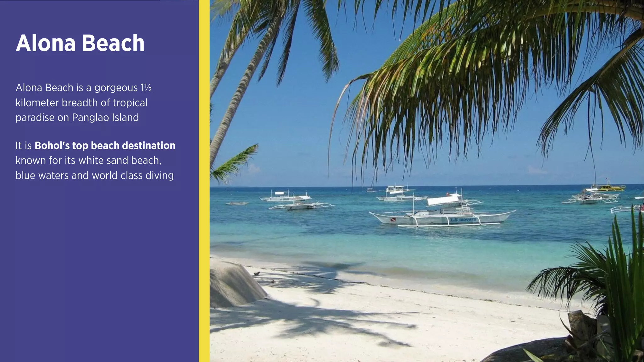 Alona Beach
Alona Beach is a gorgeous 1½
kilometer breadth of tropical
paradise on Panglao Island
It is Bohol's top beach
destination known for its
white sand beach, blue waters
and world class diving
 