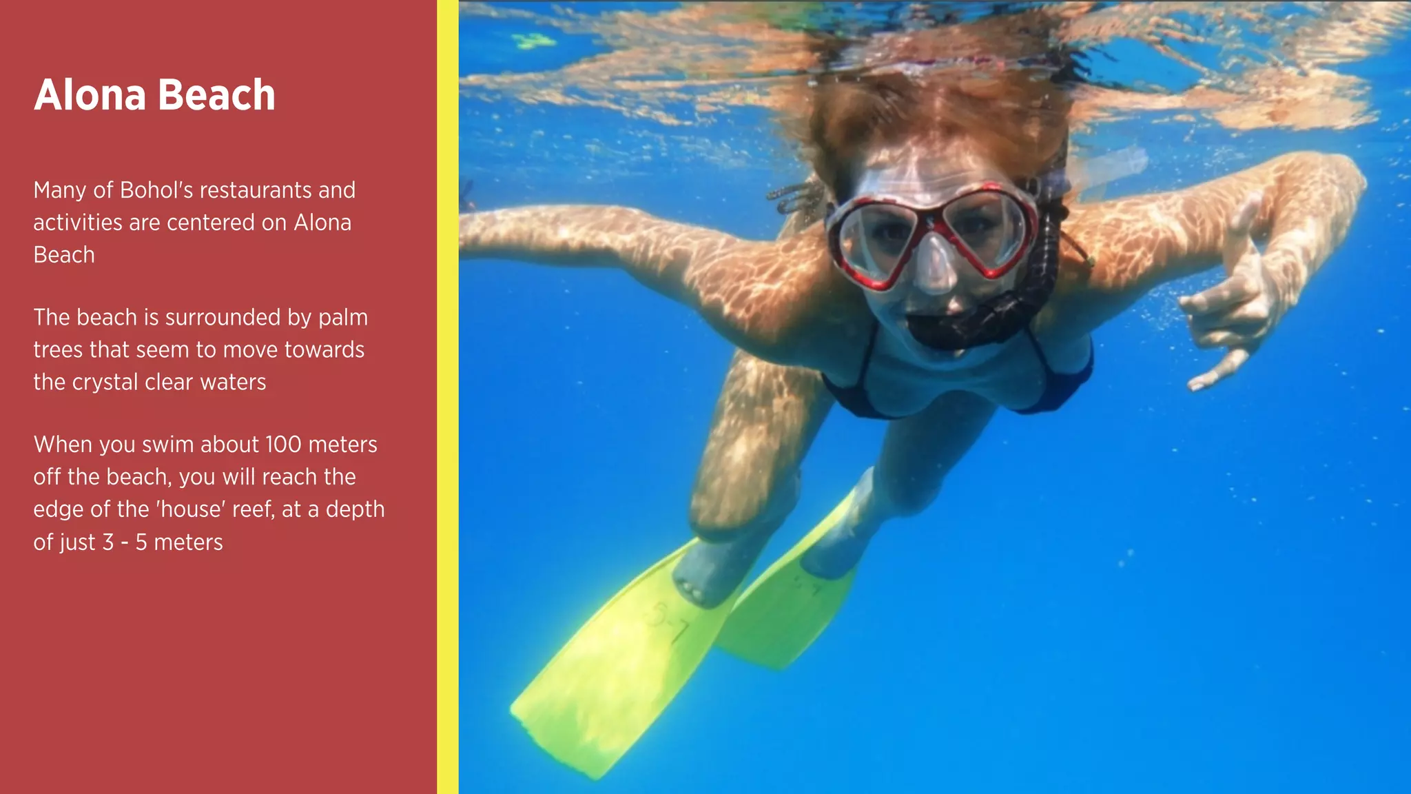 Alona Beach
Many of Bohol's restaurants and
activities are centered on Alona
Beach
The beach is surrounded by palm
trees that seem to move towards
the crystal clear waters
When you swim about 100 meters
off the beach, you will reach the
edge of the 'house' reef, at a depth
of just 3 - 5 meters
 