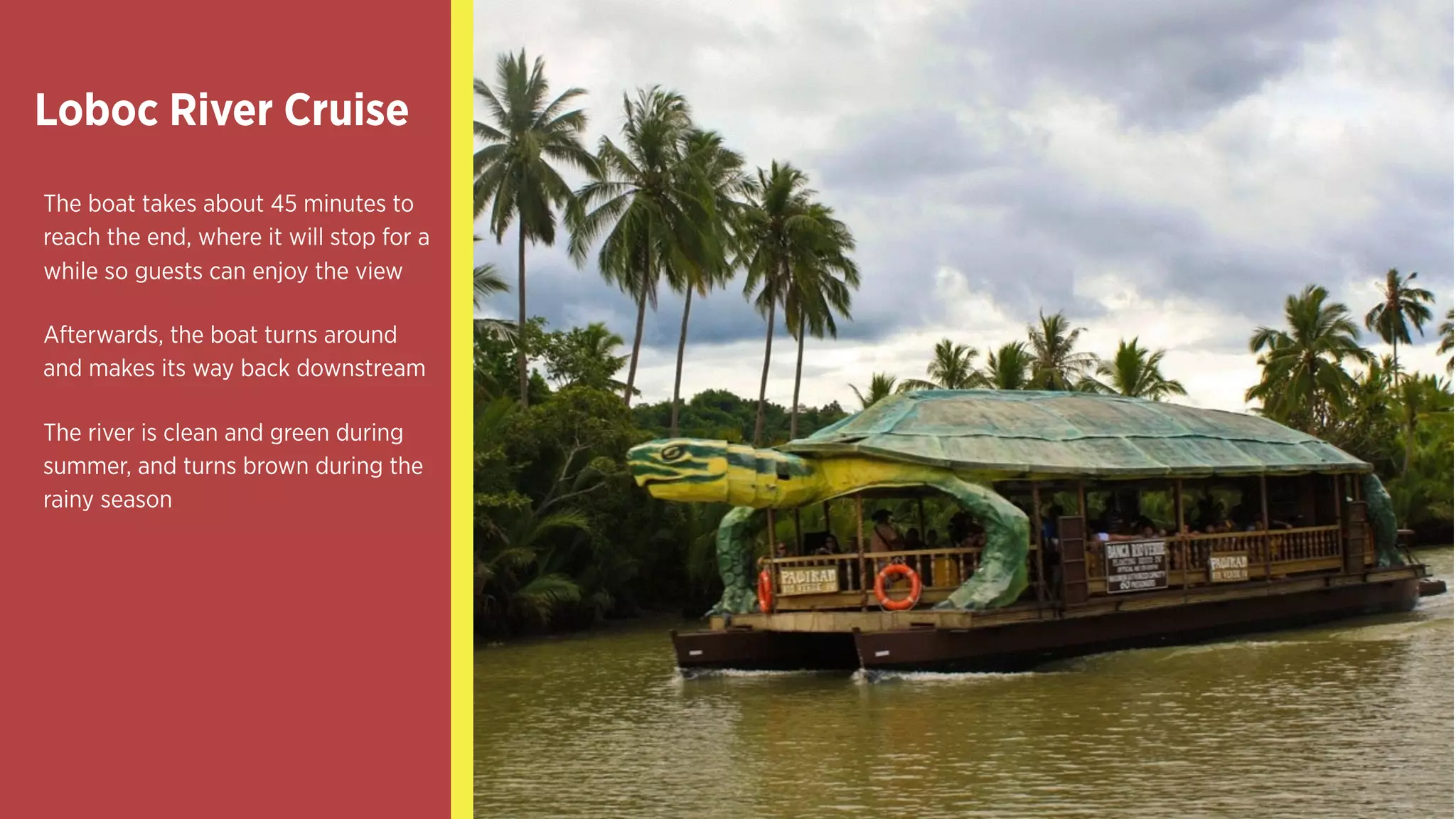 The boat takes about 45 minutes to
reach the end, where it will stop for a
while so guests can enjoy the view
Afterwards, the boat turns around
and makes its way back downstream
The river is clean and green during
summer, and turns brown during the
rainy season
Loboc River Cruise
 