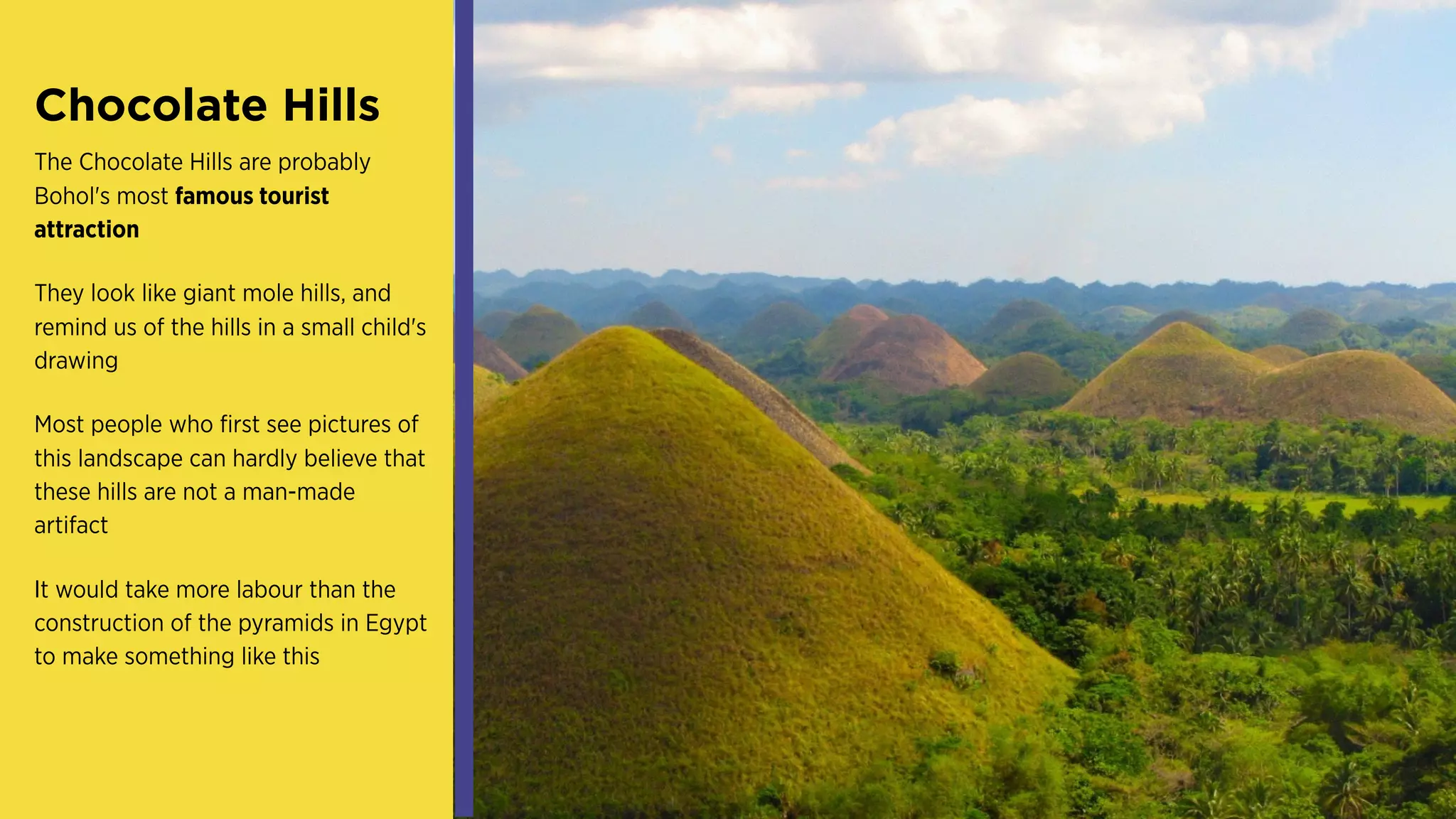 Chocolate Hills
The Chocolate Hills are probably
Bohol's most famous tourist
attraction
They look like giant mole hills, and
remind us of the hills in a small child's
drawing
Most people who first see pictures of
this landscape can hardly believe that
these hills are not a man-made
artifact
It would take more labour than the
construction of the pyramids in Egypt
to make something like this
 