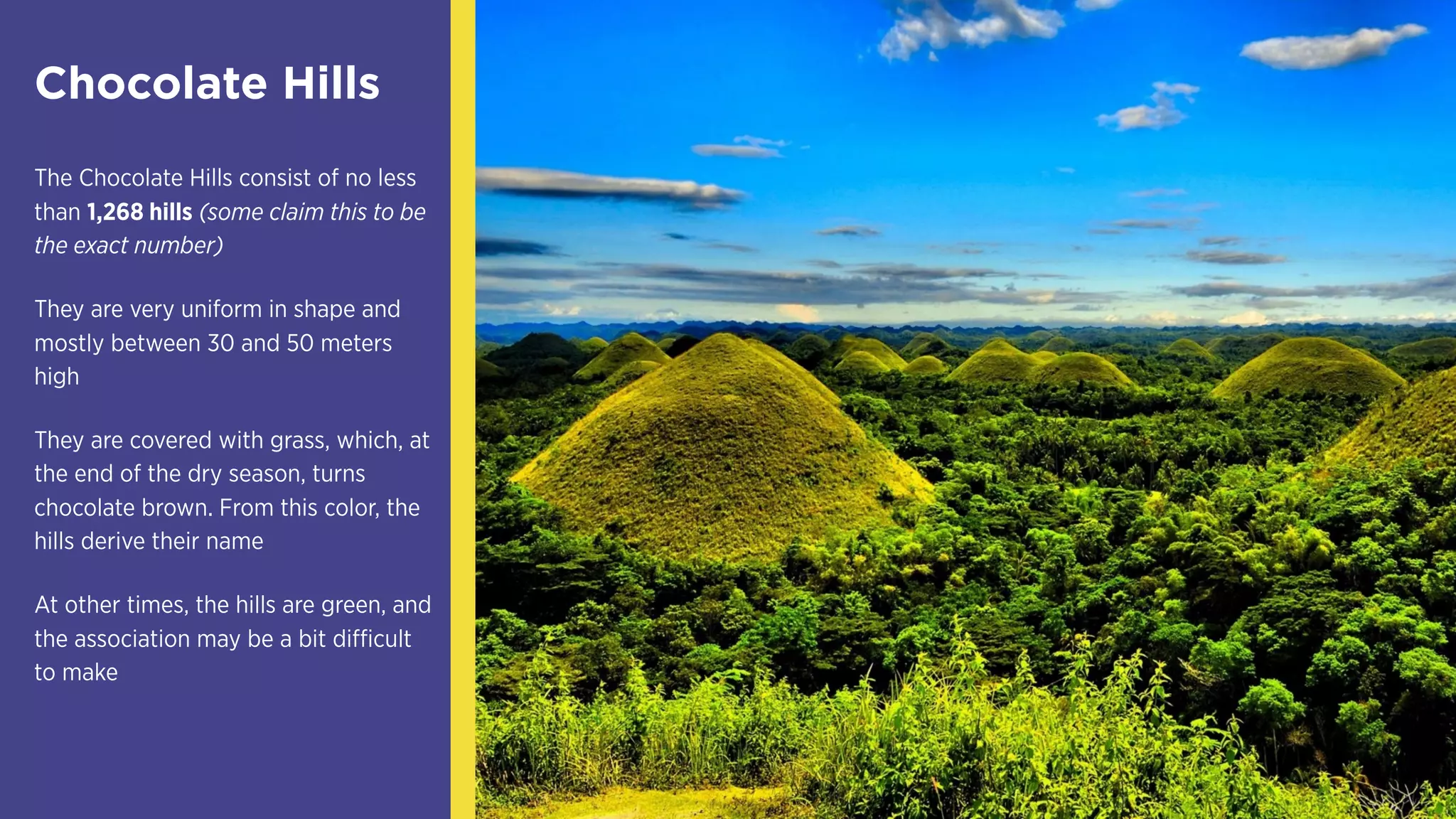 The Chocolate Hills consist of no less
than 1,268 hills (some claim this to be
the exact number)
They are very uniform in shape and
mostly between 30 and 50 meters
high
They are covered with grass, which, at
the end of the dry season, turns
chocolate brown. From this color, the
hills derive their name
At other times, the hills are green, and
the association may be a bit difficult
to make
Chocolate Hills
 