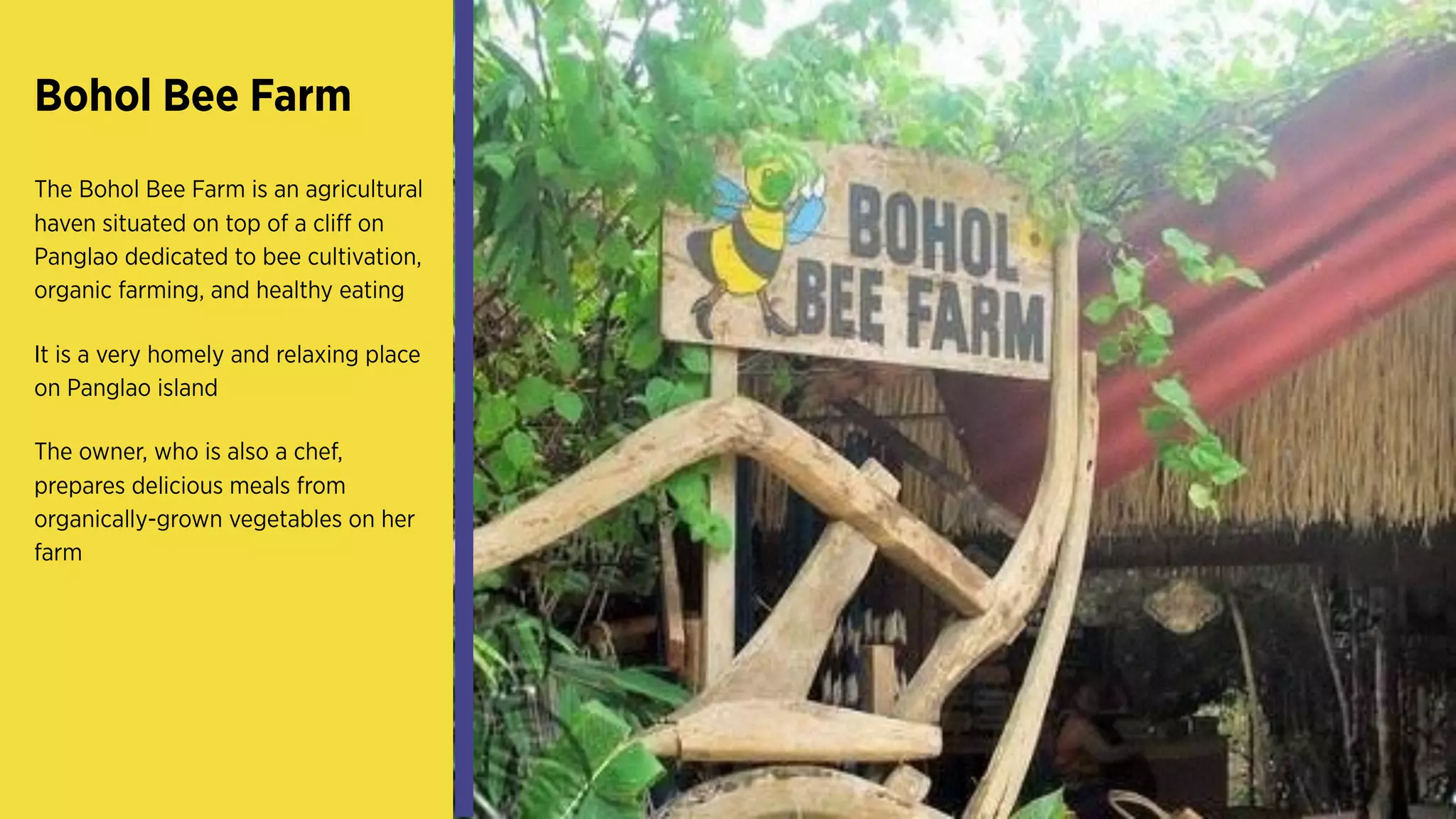 Bohol Bee Farm
The Bohol Bee Farm is an
agricultural haven situated on
top of a cliff on Panglao
dedicated to bee cultivation,
organic farming, and healthy
eating
It is a very homely and relaxing
place on Panglao island
The owner, who is also a chef,
prepares delicious meals from
organically-grown vegetables
on her farm
 