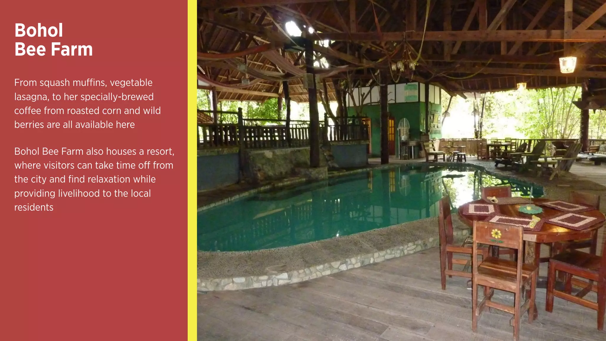 Bohol 
Bee Farm
From squash muffins,
vegetable lasagna, to her
specially-brewed coffee from
roasted corn and wild berries
are all available here
Bohol Bee Farm also houses a
resort, where visitors can take
time off from the city and find
relaxation while providing
livelihood to the local residents
 