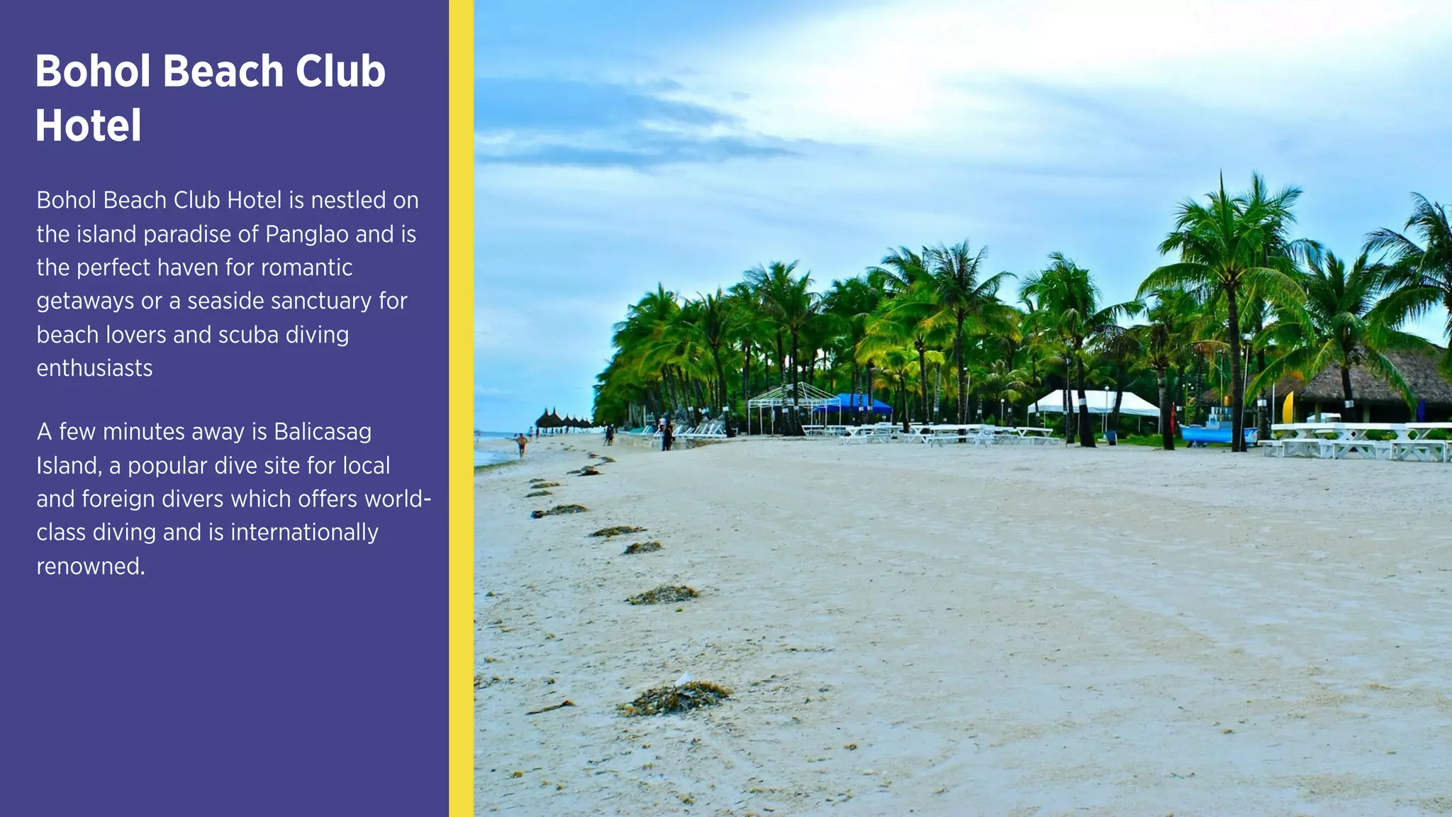 Bohol Beach Club
Hotel
Bohol Beach Club Hotel is
nestled on the island paradise
of Panglao and is the perfect
haven for romantic getaways
or a seaside sanctuary for
beach lovers and scuba diving
enthusiasts
A few minutes away is
Balicasag Island, a popular dive
site for local and foreign divers
which offers world-class diving
and is internationally
renowned.
 