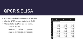 Production of a recombinant therapeutic protein presentation | PPTX