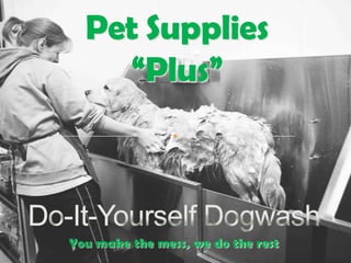 Pet Supplies “Plus” Do-It-Yourself Dogwash You make the mess, we do the rest 