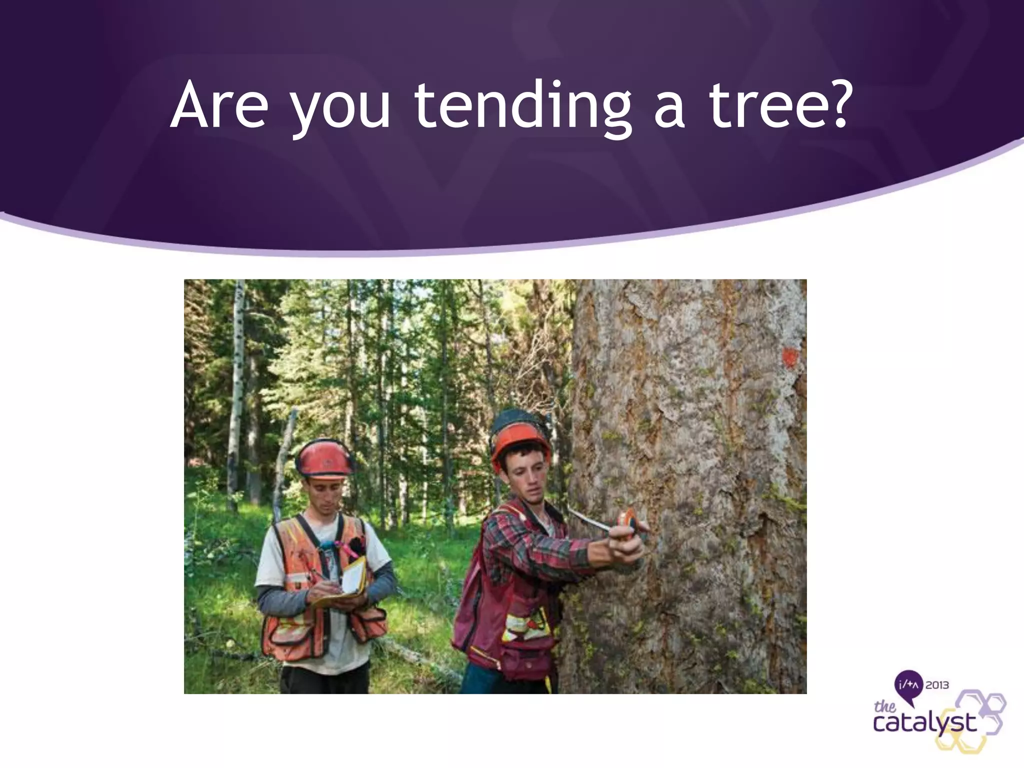 Slide 3