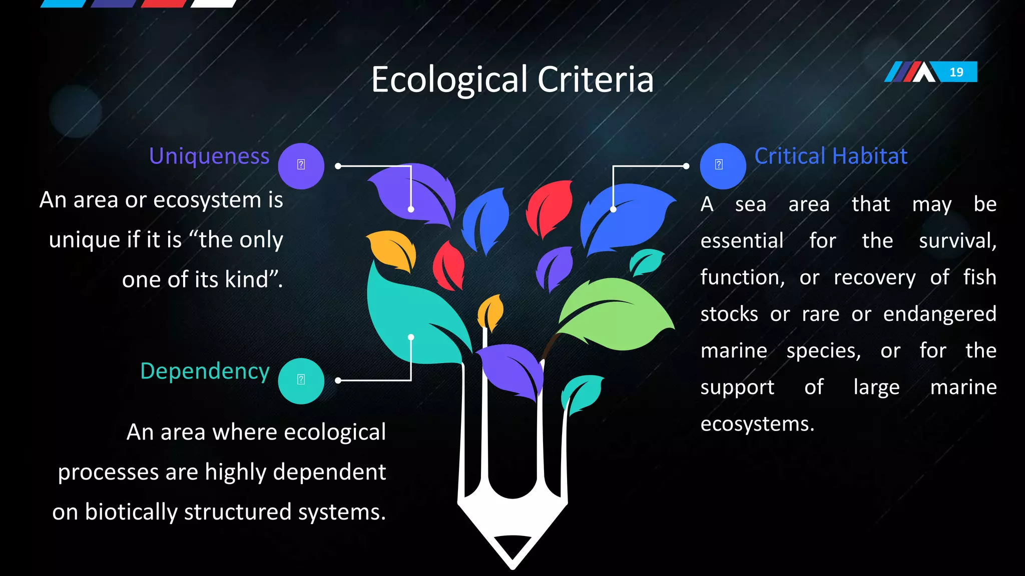 Particularly Sensitive Sea Areas | PPTX