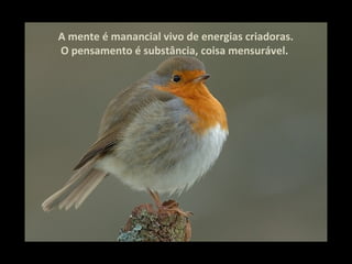 A mente é manancial vivo de energias criadoras.
O pensamento é substância, coisa mensurável.
 