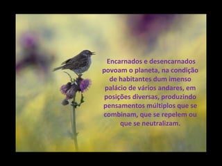 Encarnados e desencarnados
povoam o planeta, na condição
   de habitantes dum imenso
 palácio de vários andares, em
 posições diversas, produzindo
pensamentos múltiplos que se
combinam, que se repelem ou
      que se neutralizam.
 