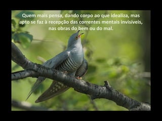 Quem mais pensa, dando corpo ao que idealiza, mas
apto se faz à recepção das correntes mentais invisíveis,
              nas obras do bem ou do mal.
 