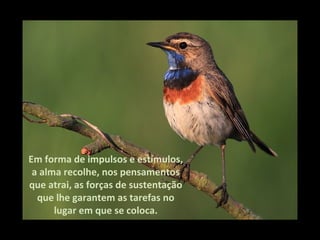 Em forma de impulsos e estímulos,
 a alma recolhe, nos pensamentos
que atrai, as forças de sustentação
  que lhe garantem as tarefas no
      lugar em que se coloca.
 