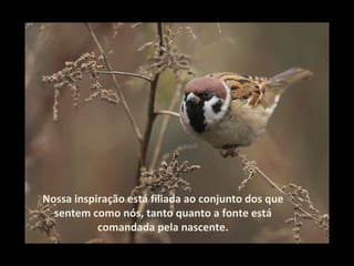 Nossa inspiração está filiada ao conjunto dos que
  sentem como nós, tanto quanto a fonte está
           comandada pela nascente.
 