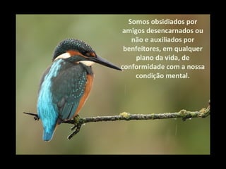 Somos obsidiados por
amigos desencarnados ou
   não e auxiliados por
 benfeitores, em qualquer
    plano da vida, de
conformidade com a nossa
    condição mental.
 