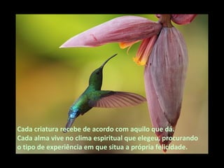 Cada criatura recebe de acordo com aquilo que dá.
Cada alma vive no clima espiritual que elegeu, procurando
o tipo de experiência em que situa a própria felicidade.
 