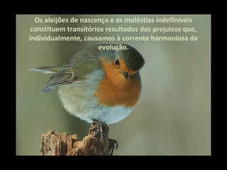 Os aleijões de nascença e as moléstias indefiníveis
 constituem transitórios resultados dos prejuízos que,
individualmente, causamos à corrente harmoniosa da
                      evolução.
 