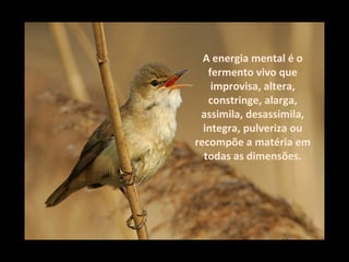 A energia mental é o
   fermento vivo que
    improvisa, altera,
   constringe, alarga,
 assimila, desassimila,
  integra, pulveriza ou
recompõe a matéria em
  todas as dimensões.
 