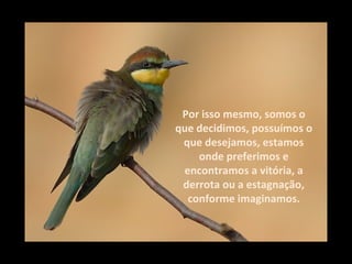 Por isso mesmo, somos o
que decidimos, possuímos o
 que desejamos, estamos
    onde preferimos e
 encontramos a vitória, a
 derrota ou a estagnação,
  conforme imaginamos.
 