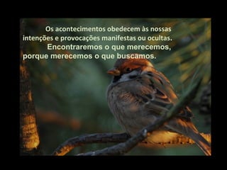 Os acontecimentos obedecem às nossas
intenções e provocações manifestas ou ocultas.
       Encontraremos o que merecemos,
porque merecemos o que buscamos.
 