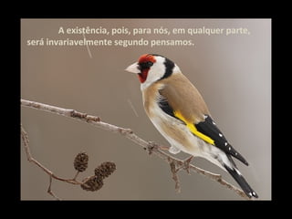 A existência, pois, para nós, em qualquer parte,
será invariavelmente segundo pensamos.
 