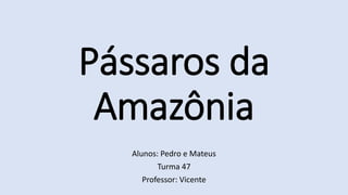 Pássaros da
Amazônia
Alunos: Pedro e Mateus
Turma 47
Professor: Vicente
 