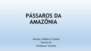 PÁSSAROS DA
AMAZÔNIA
Alunos: Rafael e Carlos
Turma:41
Professor Vicente
 