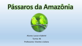 Pássaros da Amazônia
Alunos: Lucca e Gabriel
Turma: 46
Professores: Vicente e Juliana
 