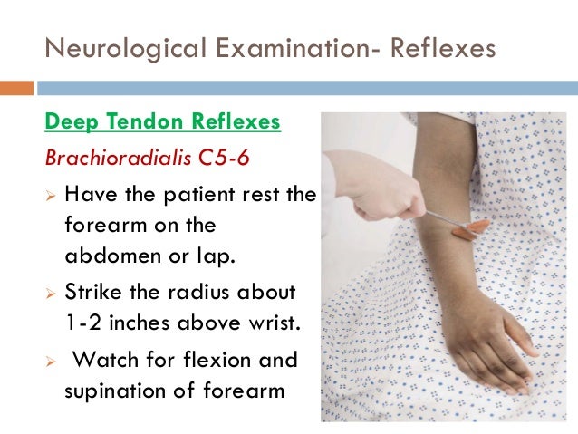 ps session back examination ps session back examination, Muscles