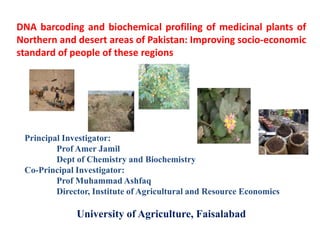 DNA barcoding and biochemical profiling of medicinal plants of
Northern and desert areas of Pakistan: Improving socio-economic
standard of people of these regions




 Principal Investigator:
         Prof Amer Jamil
         Dept of Chemistry and Biochemistry
 Co-Principal Investigator:
         Prof Muhammad Ashfaq
         Director, Institute of Agricultural and Resource Economics

              University of Agriculture, Faisalabad
 