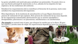La gente saludable está motivada para satisfacer sus potenciales. Un punto clave es 
que una fuente principal de motivación es el yo, además de los impulsos de tipo 
orgánico y de las condiciones del ambiente. 
Satisfacer los requerimientos del yo contribuye al bienestar de la persona, tanto como 
satisfacer los requerimientos del organismo. 
Otra dependencia de la tendencia de actualización es lo que Rogers denomina el 
proceso de valoración de tipo orgánico. Este proceso de valoración de las cosas depende 
de las experiencias armonizadas afectivamente que se sienten agradables o 
desagradables, placenteras o no placenteras, satisfactorias o no satisfactorias. 
Por ejemplo; un animal como el gato, que olisquea la comida que se le ofrece. El gato 
las explora y prueba antes de elegir. Su supervivencia depende de hacer las elecciones 
correctas. 
 