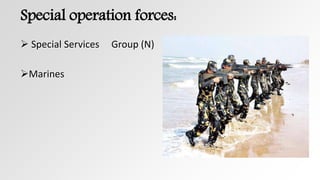 Special operation forces:
 Special Services Group (N)
Marines
 