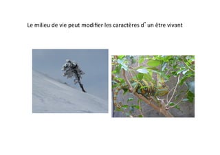 Le	
  milieu	
  de	
  vie	
  peut	
  modiﬁer	
  les	
  caractères	
  d’un	
  être	
  vivant	
  
 