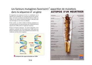 Les	
  facteurs	
  mutagènes	
  favorisent	
  l’appari2on	
  de	
  muta2ons	
  
dans	
  la	
  séquence	
  d’un	
  gène	
  
Vrai	
  
Vrai	
  
 