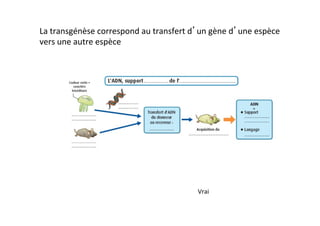 La	
  transgénèse	
  correspond	
  au	
  transfert	
  d’un	
  gène	
  d’une	
  espèce	
  
vers	
  une	
  autre	
  espèce	
  
!
!
!
!
!
!
!
Vrai	
  
 