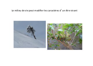 Le	
  milieu	
  de	
  vie	
  peut	
  modiﬁer	
  les	
  caractères	
  d’un	
  être	
  vivant	
  
 