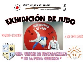 Póster exhibición judo ceip.virgen de navalazarza 2013