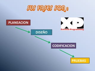 SUS FASES SON :
PLANEACION
PRUEBAS
DISEÑO
CODIFICACION
 