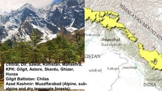 Chitral, Dir, Sawat, Kohistan, Mansehra,
KPK: Gilgit, Astore, Skardu, Ghizer,
Hunza
Gilgit Baltistan: Chilas
Azad Kashmir: Muzaffarabad (Alpine, sub-
alpine and dry temperate forests):
 