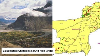 Baluchistan: Chiltan hills (Arid high lands)
 