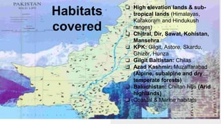 ❏ High elevation lands & sub-
tropical lands (Himalayas,
Karakoram and Hindukush
ranges)
❏ Chitral, Dir, Sawat, Kohistan,
Mansehra
❏ KPK: Gilgit, Astore, Skardu,
Ghizer, Hunza
❏ Gilgit Baltistan: Chilas
❏ Azad Kashmir: Muzaffarabad
(Alpine, subalpine and dry
temperate forests)
❏ Baluchistan: Chiltan hills (Arid
highlands)
❏ Coastal & Marine habitats
Habitats
covered
 