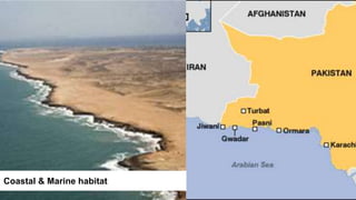 Coastal & Marine habitat
 