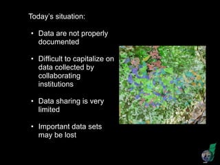 Why documenting research data? Is it worth the extra effort? learnings from the Fakara metadata encoding exercise
