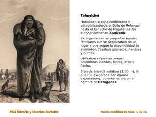 Tehuelches Habitaban la zona cordillerana y patagónica desde el Golfo de Reloncaví hasta el Estrecho de Magallanes. Se autodenominaban  Aonikenk . Se organizaban en pequeñas bandas familiares que se desplazaban de un lugar a otro según la disponibilidad de alimentos. Cazaban guanacos, ñandúes y pumas. Utilizaban diferentes armas: boleadoras, hondas, lanzas, arco y flecha. Eran de elevada estatura (1,80 m), la que fue exagerada por algunos exploradores, quienes les dieron el nombre de  Patagones .  