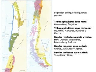 Se pueden distinguir los siguientes pueblos:  Tribus agricultoras zona norte : Atacameños y Diaguitas. Tribus agricultoras zona centro sur : Picunches, Mapuches, Huilliches y Cuncos. Bandas recolectoras norte y centro sur  : Changos, Chiquillanes, Pehuenches y Puelches.  Bandas canoeras zona austral:  Chonos, Alacalufes y Yaganes. Bandas pedestres zona austral:  Tehuelches y Onas.  