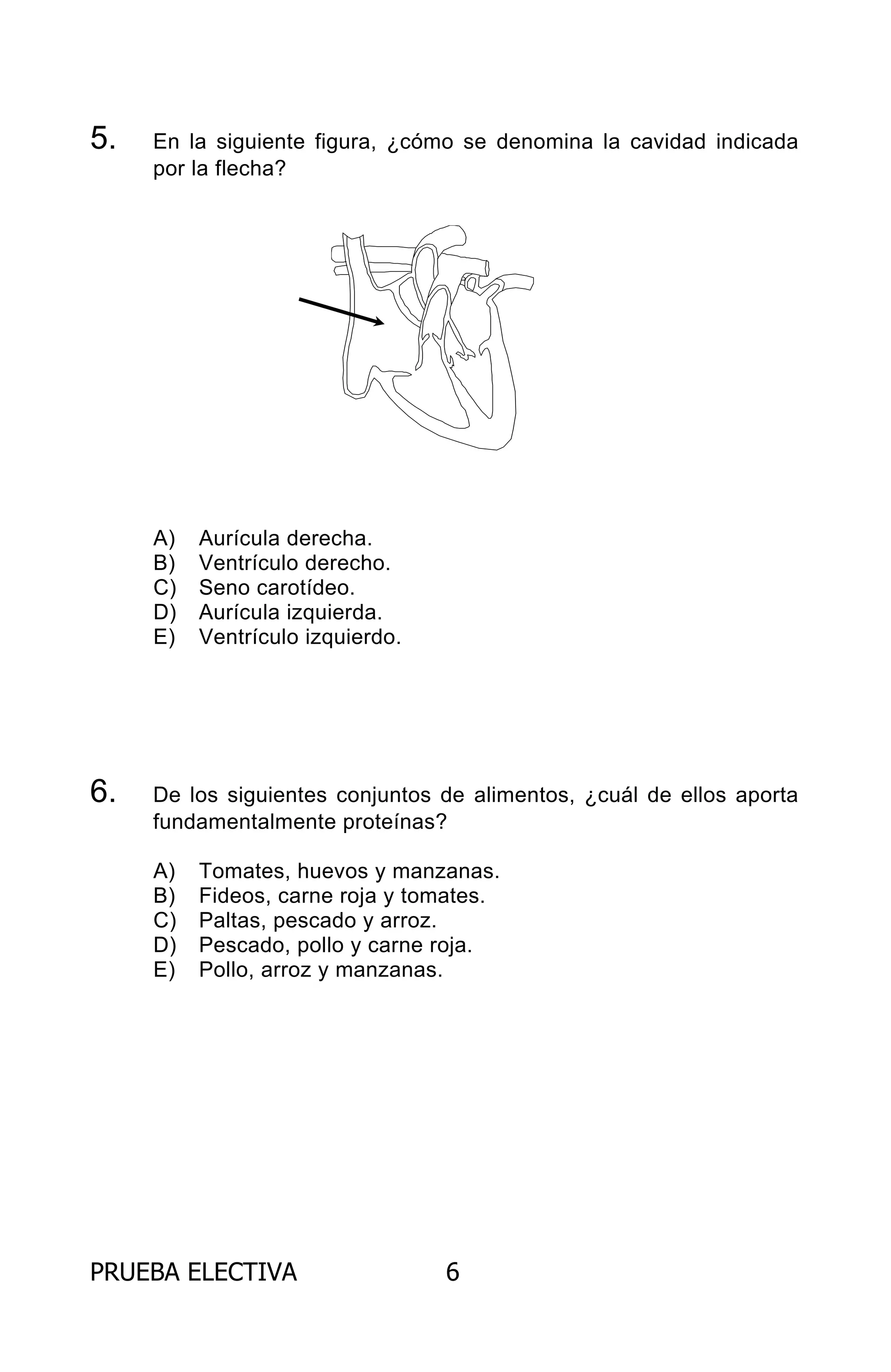 PRUEBA ELECTIVA 6
5. En la siguiente figura, ¿cómo se denomina la cavidad indicada
por la flecha?
A) Aurícula derecha.
B) Ventrículo derecho.
C) Seno carotídeo.
D) Aurícula izquierda.
E) Ventrículo izquierdo.
6. De los siguientes conjuntos de alimentos, ¿cuál de ellos aporta
fundamentalmente proteínas?
A) Tomates, huevos y manzanas.
B) Fideos, carne roja y tomates.
C) Paltas, pescado y arroz.
D) Pescado, pollo y carne roja.
E) Pollo, arroz y manzanas.
ARCHIVOS.indd 6 02-06-2008 19:15:37
 