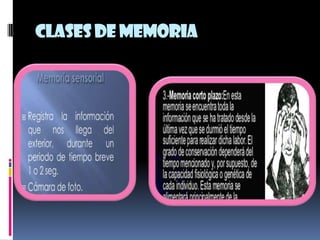 Clases de memoria
 