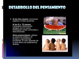 Desarrollo del pensamiento
 