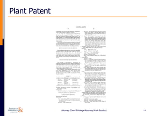 Plant Patent




               Attorney Client Privilege/Attorney Work Product   14
 